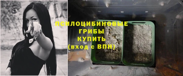 крисы Алексеевка