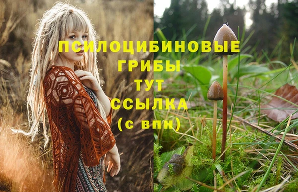 ALPHA PVP Абдулино