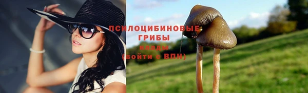 крисы Алексеевка
