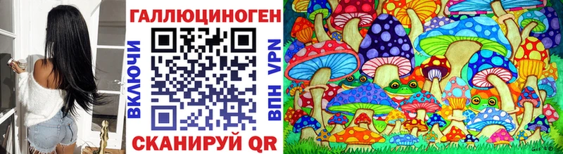 omg зеркало  наркошоп  Ядрин  Галлюциногенные грибы Psilocybe 